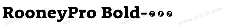 RooneyPro Bold字体转换
